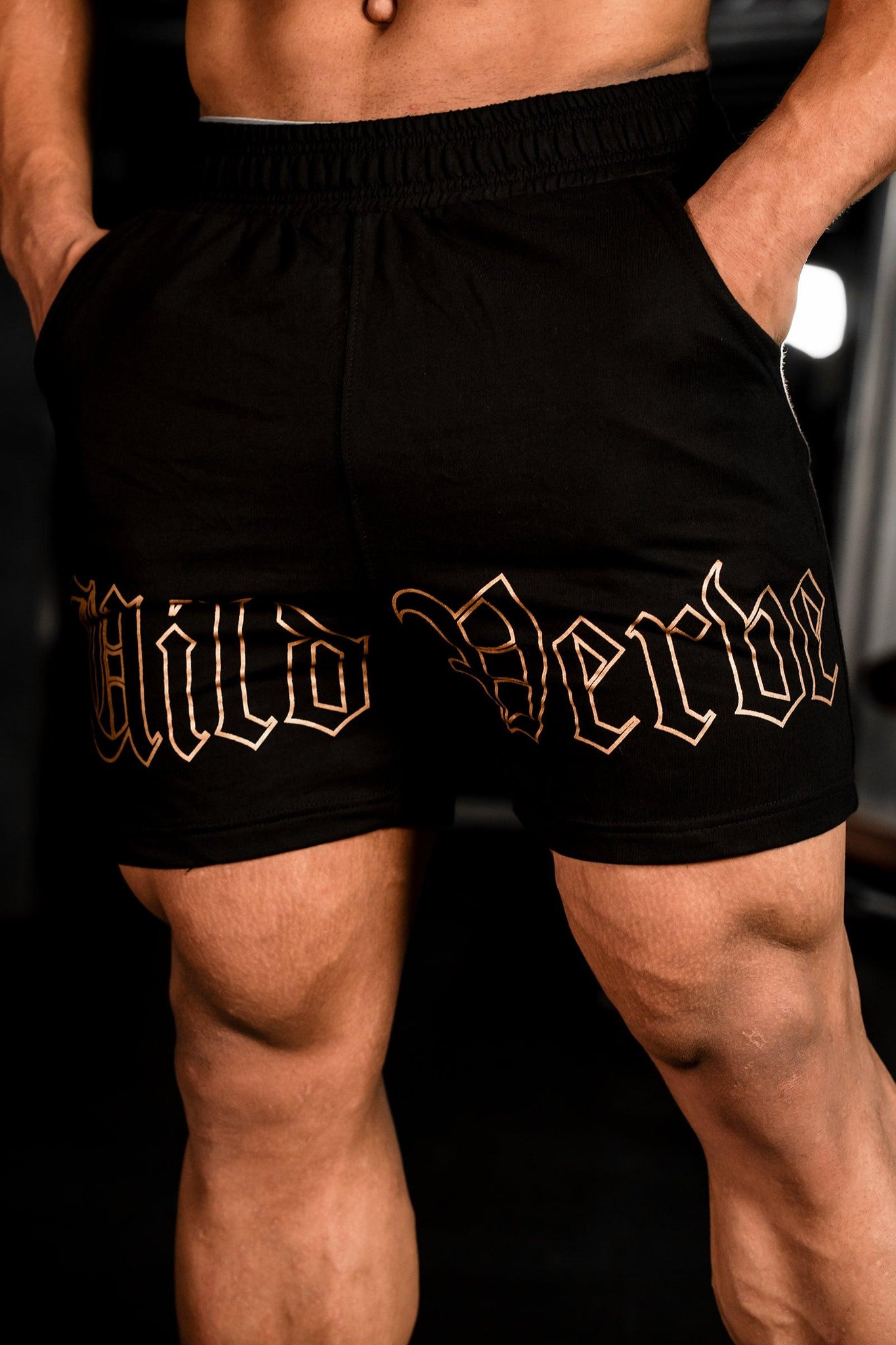 GOLDEN WILD VERVE SHORTS (BLACK) - THEWILDVERVE