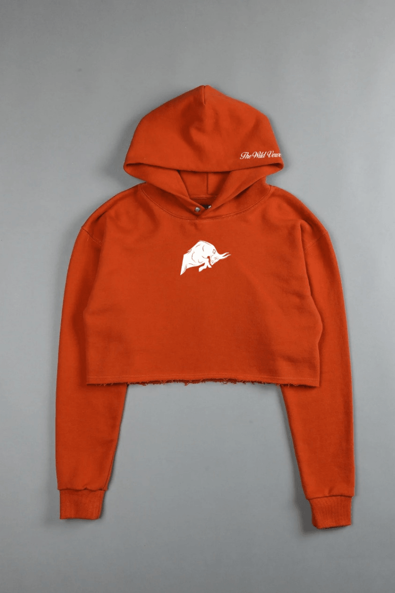 Orange cropped hoodie hotsell