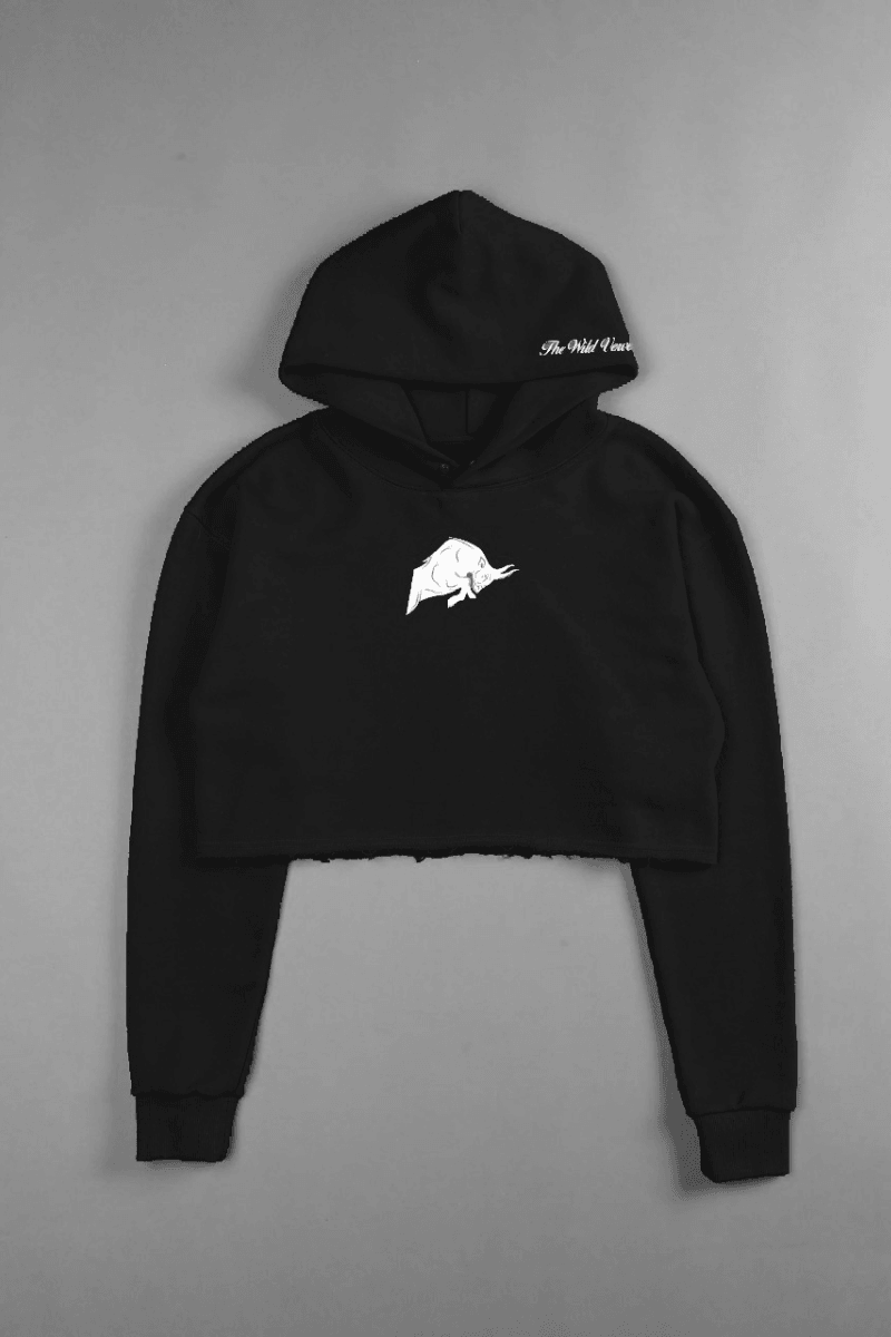 Raptors sales cropped hoodie